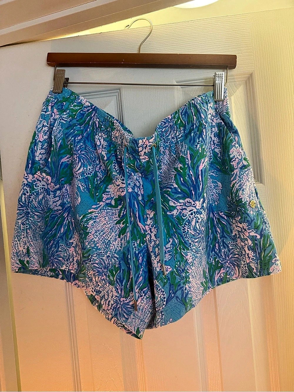 Lilly Pulitzer Shorts Size Large